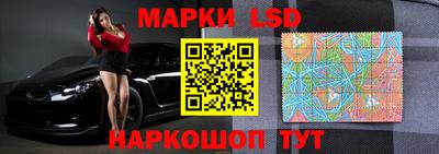 прущие грибы Краснодар